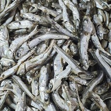 [코오푸드]국물멸치 육수용 다시멸치 식자재용 실속형 1.5kg(국내산)