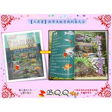 B.Q.Q小舖 熱帶魚觀賞與飼養大全 工具書 玩家必備