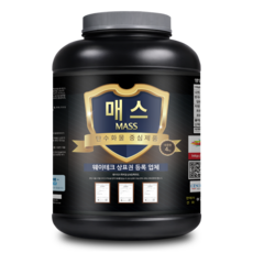 웨이테크 매스 슈퍼칼로리 살찌는보충제 체중증가 탄수화물 헬스보충제/ Super Calorie, 4kg, 1개