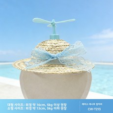 여름 밀짚 바람개비 장식 모자 귀여운 동물 포인트 가벼운 통풍 레저 햇빛가림 모자 Yellwell cck, 1개, 레이스 대나무 잠자리