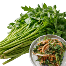 최고품질 당일수확 손질 제철 청도 미나리, 1kg, 1박스