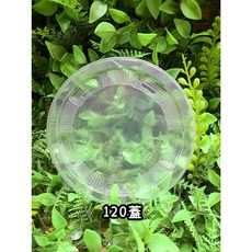 透明射出碗 PP360/PP500/PP700 微波碗, 1個, 120蓋(搭配360碗OR500碗), 50, 120蓋(搭配360碗OR500碗)