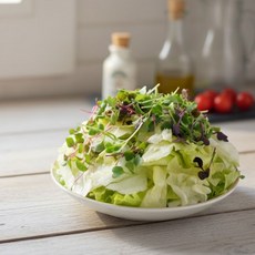 의령농산 국내산 100% 어린잎 믹스 샐러드 800g, 1개
