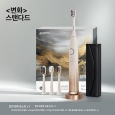 누마 전동칫솔 플라그제거 어르신 회전 깔끔 선물 음파진동, 스탠다드트랜스포머블루듀얼