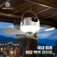 홈앤스테이 캠핑 실링팬 무선 충전식 대용량 타프, DS-001