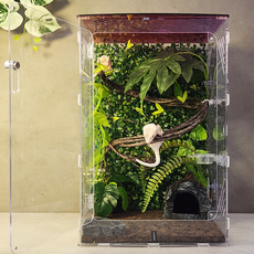 에버리움 크레스티드 게코 도마뱀 아크릴 사육장 세트 - 대형 30x30x45cm, 1세트, 와인썬셋
