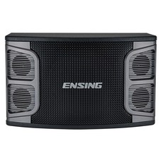 ENSING 燕聲 10吋低音懸吊式喇叭, 黑, EX-250
