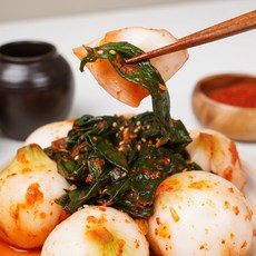 국내산 재료를 사용한 양파줄기김치 1kg, 없음, 1개