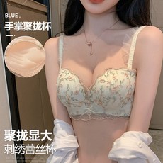 刺繡蕾絲內衣 手掌聚攏杯