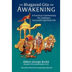 The Bhagavad Gita for Awakening: A Practical Commentary for Leading a Successful Spiritual Life Paperback, Light of the Spirit Press, English, 9781732526600