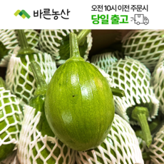 < 바른농산 > 국내산 풋호박 둥근호박 조선호박, 1개, 10개