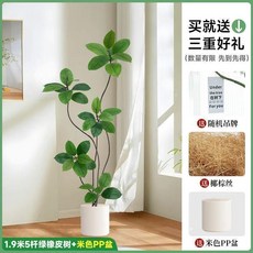 綠橡皮樹仿真盆栽 1.45米三杆落地裝飾擺件, 1個, 綠橡皮1.8米五杆米白PP盆