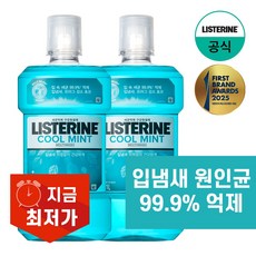 리스테린 쿨민트 구강청정제, 1L, 2개