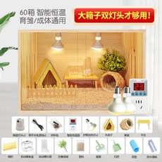 【開發票/統編】220V蘆丁雞寵物飼養箱 幼雞籠子育雛保溫箱 蘆丁雞籠全套 恒溫雞窩, 1個, 60x40x40-平頂款【智慧恒溫】