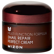 미즈온 스네일 리페어 퍼펙트 크림, 50ml, 1개