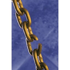 (영문도서)Trauma Un Bonding: Rising from the Ashes Paperback, Independently Published, English, 9798262524938