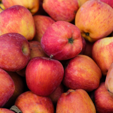 [썬푸드 사과] 경북 고산지 초특가 사과 당도선별, 1박스, 꿀 사과 4kg