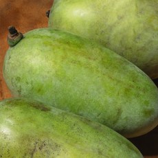 2025 햇 포포나무 열매(냉동) 1kg, 1박스, 1kg 소(7-10과)