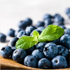 [아침담다] 한정 초특가 생 블루베리, 1박스, 14~16mm 2팩 (팩당 125g)