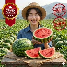 산지직송 당도선별 차별화된 국내산 프리미엄 고당도 하우스 꿀수박, 1개, 3kg