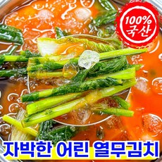 [재구매1등] 100%국산 시원한 열무 물김치 자박이, 1세트, 3kg