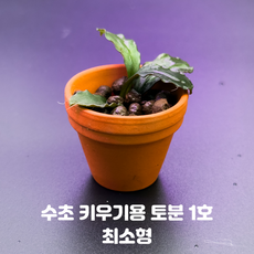 수초키우기용 토분 1호 최소형