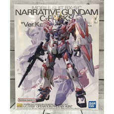 《GTS》模型 BANDAI MG 1/100 敘事鋼彈 C裝備 Ver.ka 機動戰士 鋼彈NT 5066308, 1個