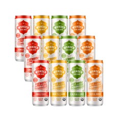 유기농 탄산수 원더드링크 콤부차 혼합형 (4가지맛 x 3캔) 355ml, 12개입