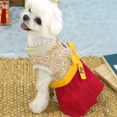 바르시 반려견 한복 여 L 설빔