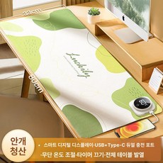 양면 발열 타이머 발난로 접이식 발히터 가정용 리모컨, 럭키 애프리콧 80x33cm, 기본 색상