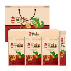 순수식품 큰 키즈 골드 어린이 홍삼 스틱 + 쇼핑백, 10ml, 30개