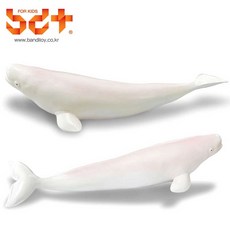 고래인형 어린이날선물 대형 벨루가 인형 벨루가모형 수족관 목욕할때 흰고래