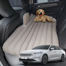 차량용 에어매트 캠핑용 평탄화 매트리스 차박용 자동차 침대, 본품+전동펌프