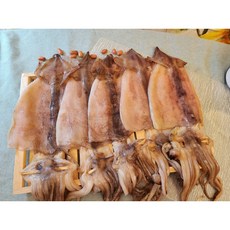 [웅이네] 국산 반건조 오징어 중, 1개, 5마리 (500g)