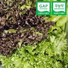 자연속애 GAP 무농약 유러피안 샐러드 채소 800g (3~6종/랜덤) 당일수확출고, 없음