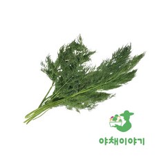 야채이야기 딜 500g 허브딜, 1개