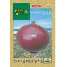 탑레드 자색 양파 씨앗 1000립 적양파 종자, 탑레드 자색양파, 1개