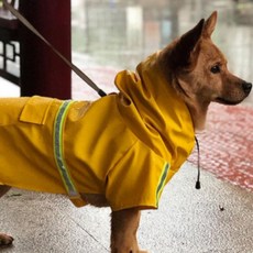 대형견 강아지 우비 바람막이 산책 비옷 올인원, 오렌지 DC003583