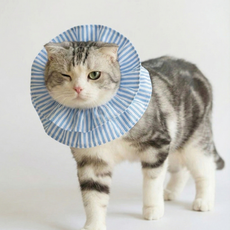 반려동물 초경량 편안한 중성화 넥카라, 1개, 블루