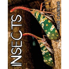 (영문도서)Insects 2026 Calendar Paperback, Baldega Books, English, 9798330349555