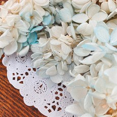 VITO zakka 木繡球永生花DIY乾燥花植物浮游花材花藝材料包拍攝道具DIY創作花材20g, 清新(米白藍綠漸變)(現貨)