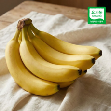 지리산 산청 강승훈 농부님의 국내산 유기농 바나나, 1개, 2.5kg