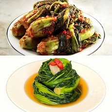 아이홈푸드 3대째 손맛 갓김치/갓물김치 골라담기, 갓김치 2kg