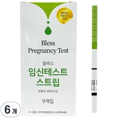 블레스 AI기반 스마트 임신테스트기, 6개, 9개입