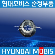 메가트럭 호일너트 허브너트 현대모비스 순정 529856A200, 1개