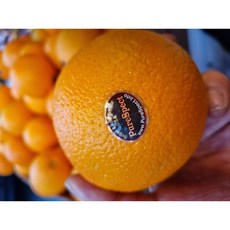 [선이담] 항공직송 캘리포니아 고당도 프리미엄 블랙라벨 오렌지 중과, 1개, 5kg