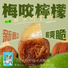 萬泰豐 創意水果乾組合 梅咬鳳梨 芒果 草莓 檸檬 蜜桃 低溫慢烘 健康零食首選, 1個, 梅咬檸檬-太