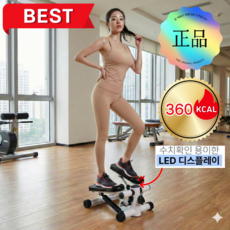 예스바디 4세대 천국의 계단 다이어트 운동기구