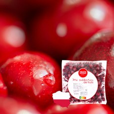 생(生) 사우어 체리(타트체리) 100% 1kg A등급 폴란드 레드 사워체리 급속냉동