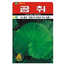저스틴앤클로이 곰취 100립 채소산채, 1개